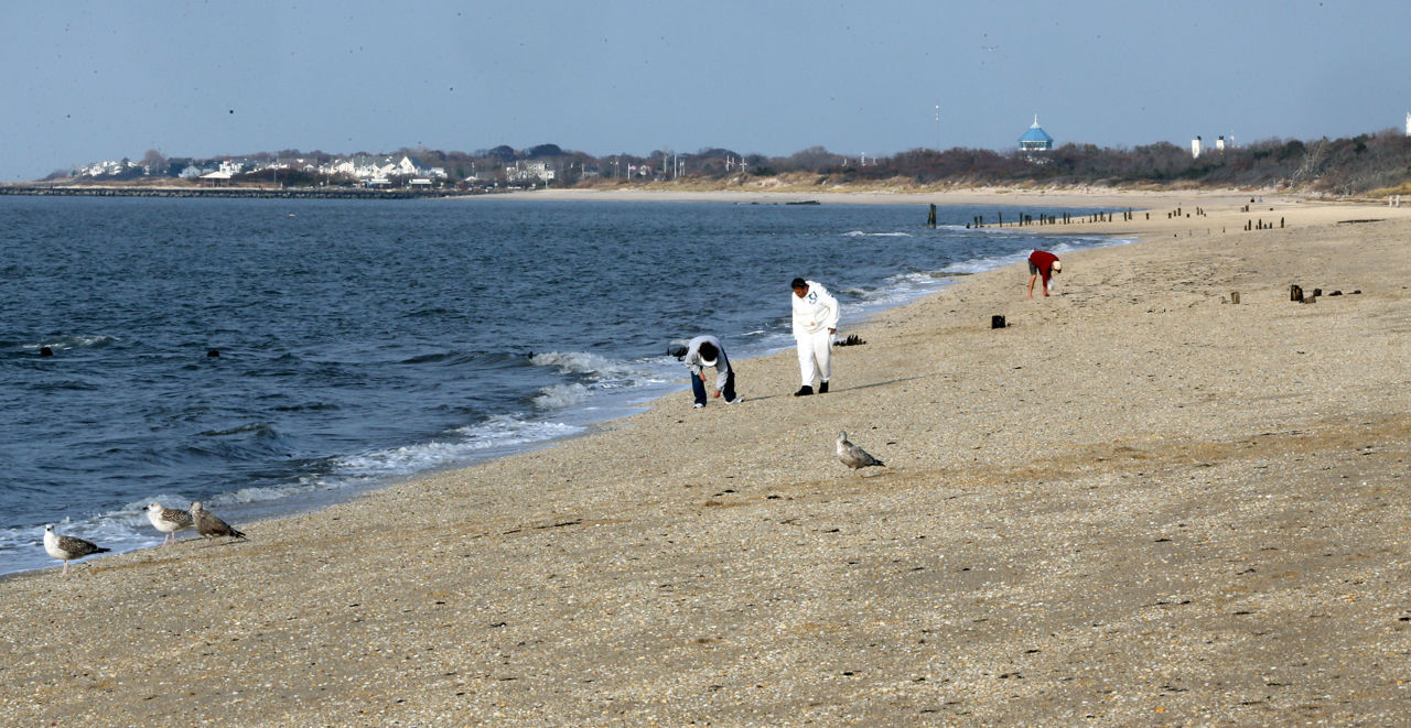 Cape May Diamonds